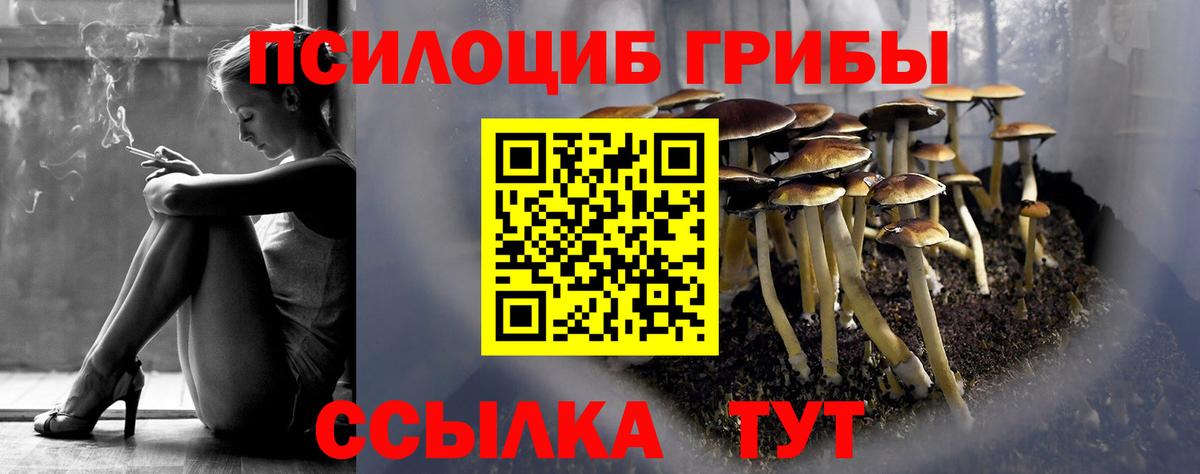 Сарапул  Псилоцибиновые грибы Psilocybe  Вход с VPN  Псилоцибиновые грибы MAGIC MUSHROOMS 
