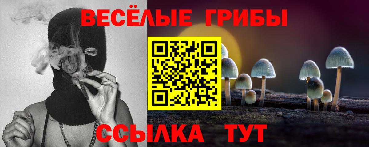 Галлюциногенные грибы мицелий Сарапул